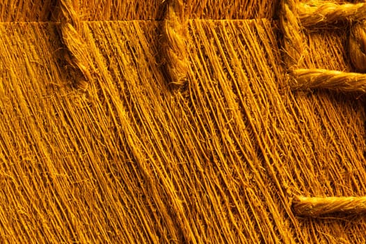 Rough wood macro texture. brown wooden material background