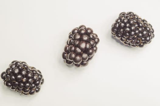 Blackberries isolated on white background. fresh berries with copy space