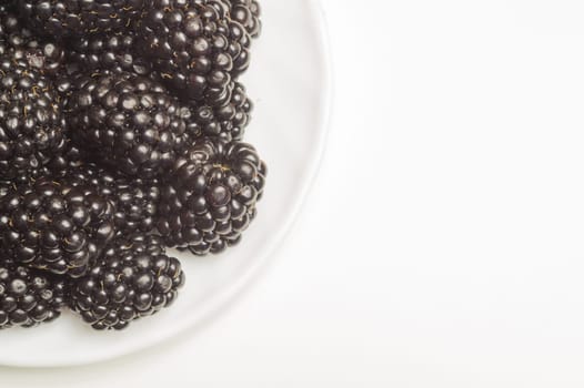 Blackberries on a plate isolated on white background. fresh berries with copy space