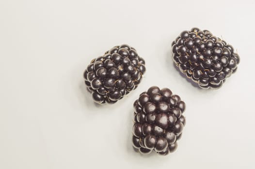 Blackberries isolated on white background. fresh berries with copy space