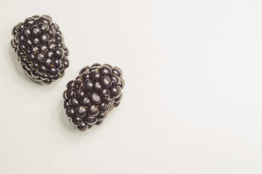 Blackberries isolated on white background. fresh berries with copy space