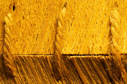 Rough wood macro texture. brown wooden material background