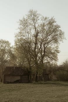 Traditional wooden house in the natural environment scene. nature landscape background