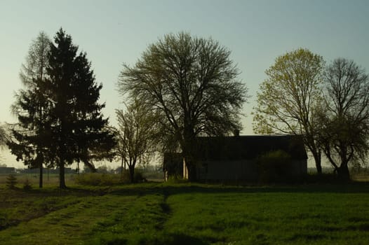 Traditional wooden house in the natural environment scene. nature landscape background