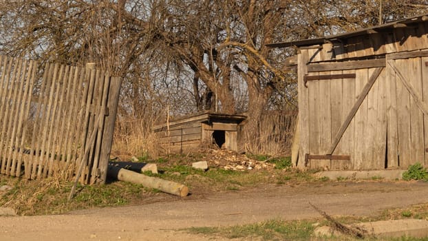 Courtyard of abandoned wooden house with small doghouse in the countryside
