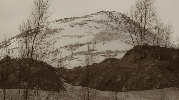 Mountain landscape background. snowy hills and forest background