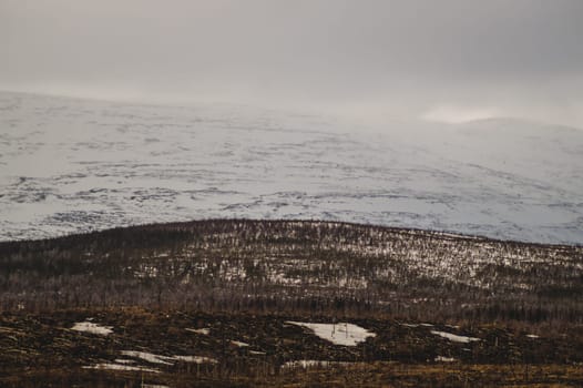 Mountain landscape background. snowy hills and forest background