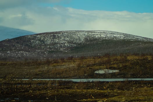 Mountain landscape background. snowy hills and forest background