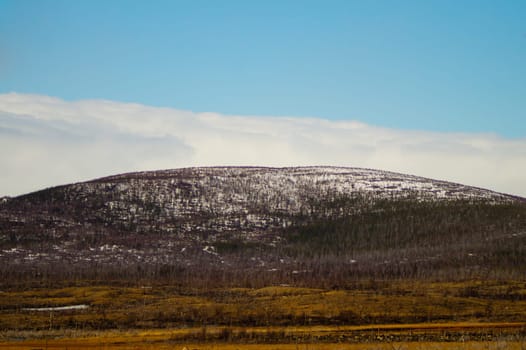 Mountain landscape background. snowy hills and forest background