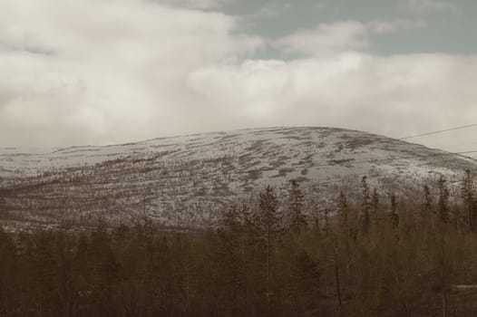 Mountain landscape background. snowy hills and forest background
