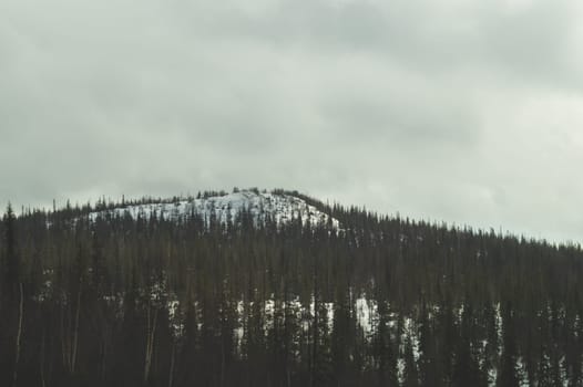 Mountain landscape background. snowy hills and forest background
