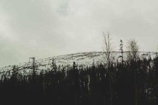 Mountain landscape background. snowy hills and forest background