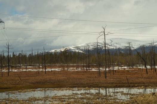 Mountain landscape background. snowy hills and forest. industrial power lines in mountains