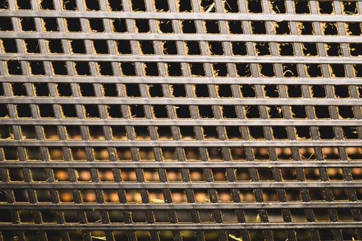 Metal grid pattern background. dusty ventilation detail close up