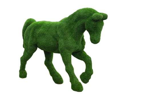 Horse shaped bush. shrub in a form of animal isolated on white. clip art