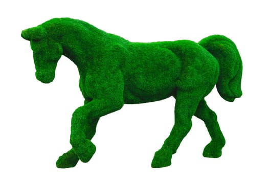 Horse shaped bush. shrub in a form of animal isolated on white. clip art