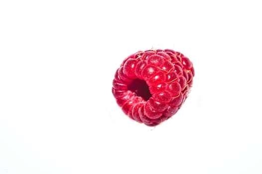 Fresh raspberry isolated on white. ripe raspberries. red berry macro clip art