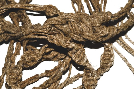 Tangled rope on a white background