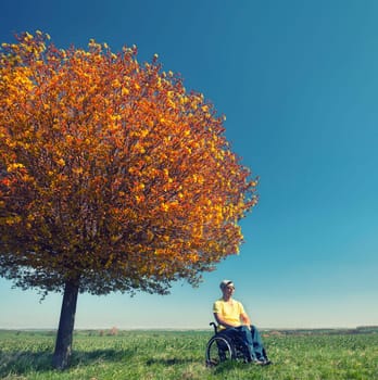 Wheelchair users in nature