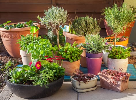 Outdoor flower pots for small garden, patio or terrace