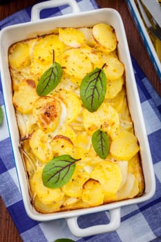 Potato gratin with herbs - top view