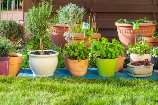 Outdoor flower pots for small garden, patio or terrace