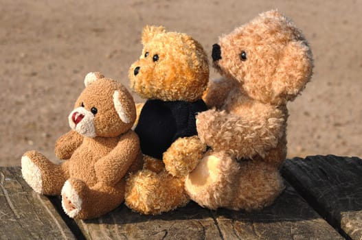 Teddy family
