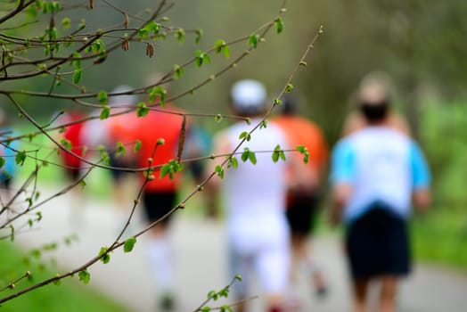 buds in spring with runners in the background