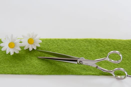 Sleek scissors