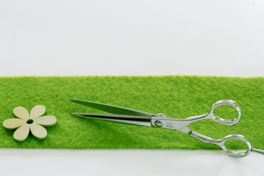 Sleek scissors