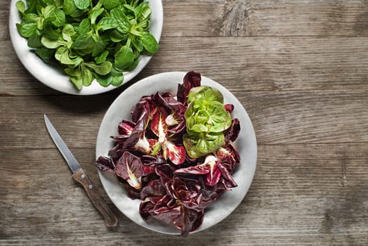 Valerianella lettuce and red radicchio in a plate close up