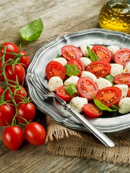Mozzarella Cheese with Tomatoes and olive oil