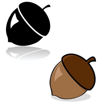 Drawing of an acorn in color and black and white
