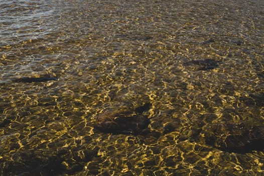Shiny transparent water. clear water with pebbles and stone on the bottom. shining reflections of sun rays and ripples on the water surface