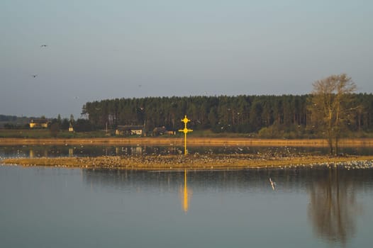 Small island with the cross and many birds. nature landscape