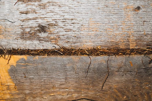 Old wood background. wooden texture