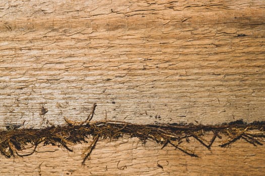 Old wood background. wooden texture