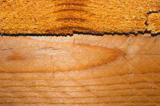 Old wood background. wooden texture