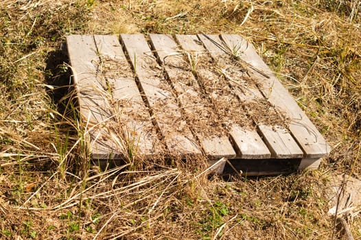 Old wooden plank background. planked bottom on the ground