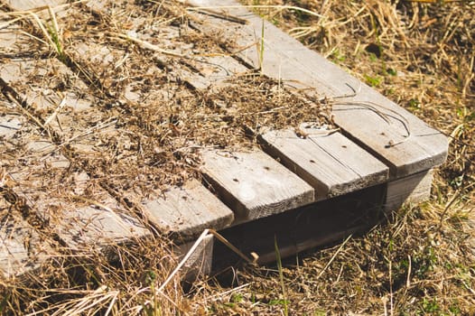 Old wooden plank background. planked bottom on the ground