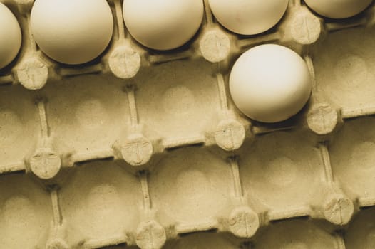 White eggs in carton box background. food ingredient. protein nutrition. healthy breakfast. poultry egg