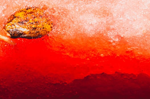 Watermelon abstract macro texture. fresh juicy fruit background