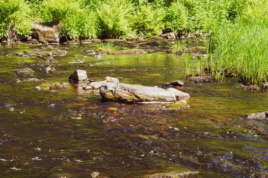 River in the forest. rocky watercourse. water flow. woodland creek. brook on a summer day