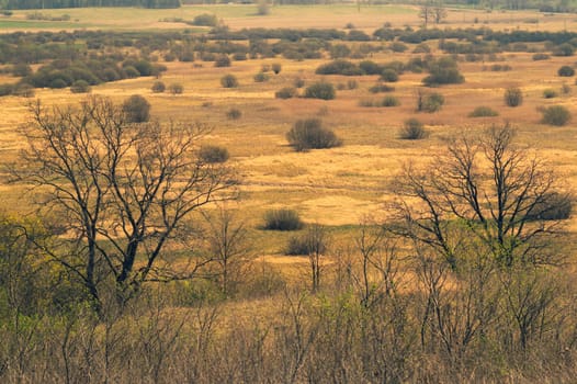 Nature panoramic landscape view from high. field with plants and trees nature background. view into the distance