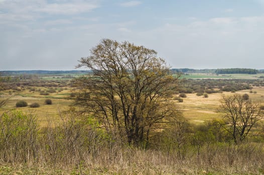 Nature panoramic landscape view from high. field with plants and trees nature background. view into the distance