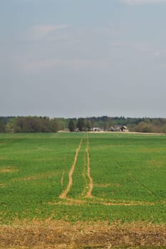 Wide field and the sky nature landscape background. horizon line