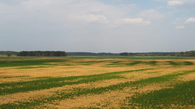 Wide field and the sky nature landscape background. horizon line