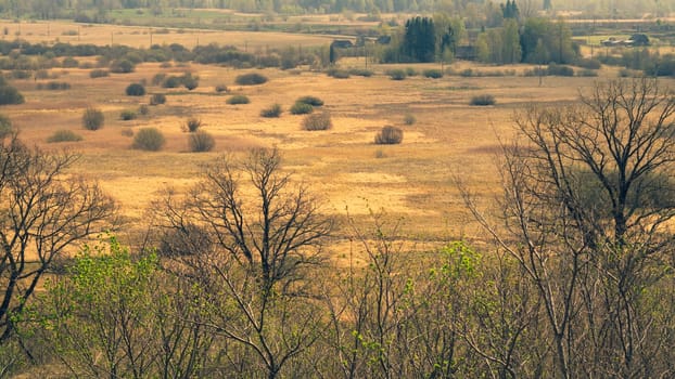 Nature panoramic landscape view from high. field with plants and trees nature background. view into the distance