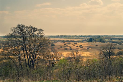 Nature panoramic landscape view from high. field with plants and trees nature background. view into the distance