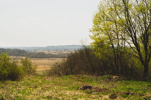 Nature panoramic landscape view from high. field with plants and trees nature background. view into the distance